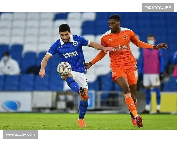 英超官方发布会现场直播全面解析精彩内容与未来发展规划