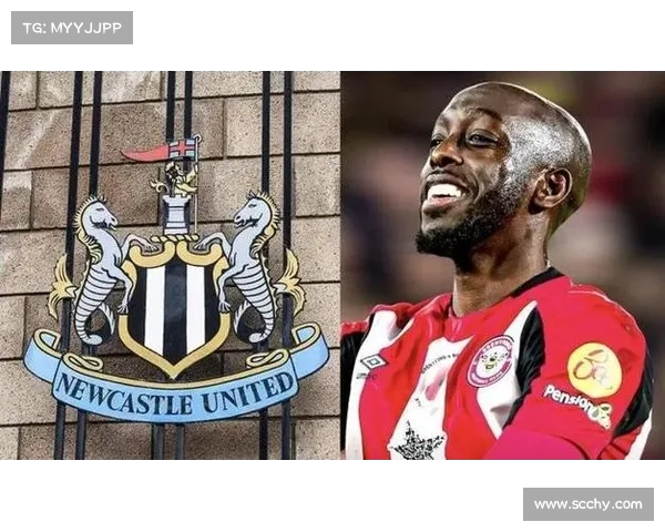 纽卡为维萨提出更高报价 小蜜蜂要价4000万镑成交易核心