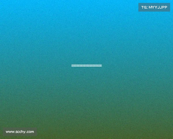 德媒：巴萨关注帕雷霍与金玟哉已进行询价动作